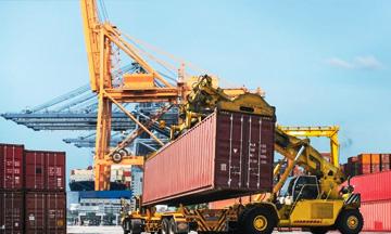 Cargo Shipping Company in Sialkot