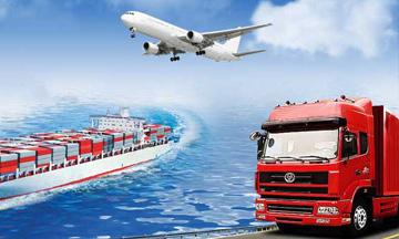 Cargo Shipping Company in Sialkot